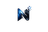 Nexorly